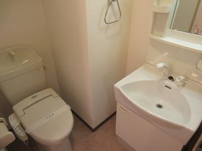 カーサ・フォレスタⅡの洗面所