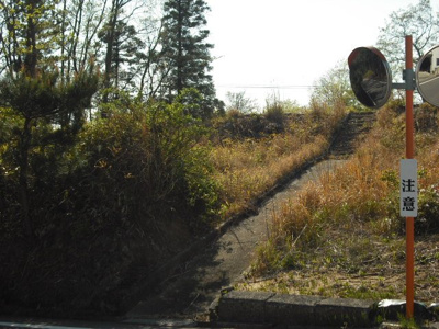 【周辺】 | 小浜3678㎡　売地