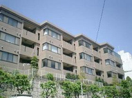 ＰＡＬＡＣＩＯ　ＢＥＬＡ　ＶＩＳＴＡの画像