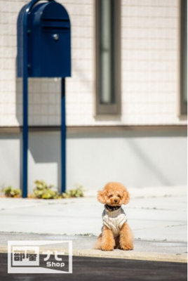 【外観】 | Chouette Ⅲ