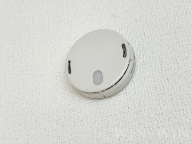 レリブ南小池のその他