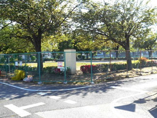 【前面道路含む現地写真】 | 公園目の前。