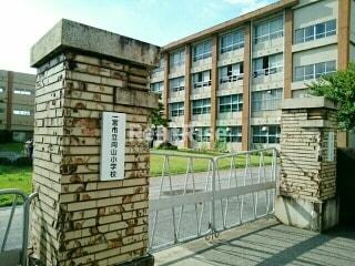 デンファーレ向山のその他