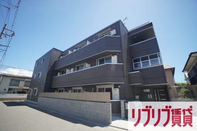 Beetle（ビートル）