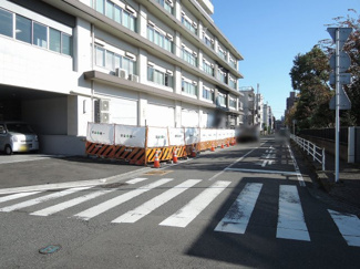 【周辺】 | 前面道路です。
比較的交通量は少なめですので小さなお子様がいる方でも安心です。