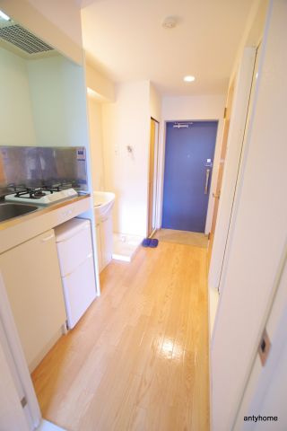 エスリード新梅田　仲介手数料無料の内装