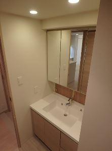 BLESS宮崎台の洗面所