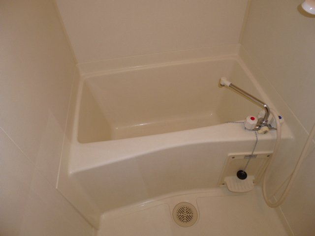 ディリジェントの浴室