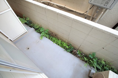 【バルコニー】 | スリーウッド幕張