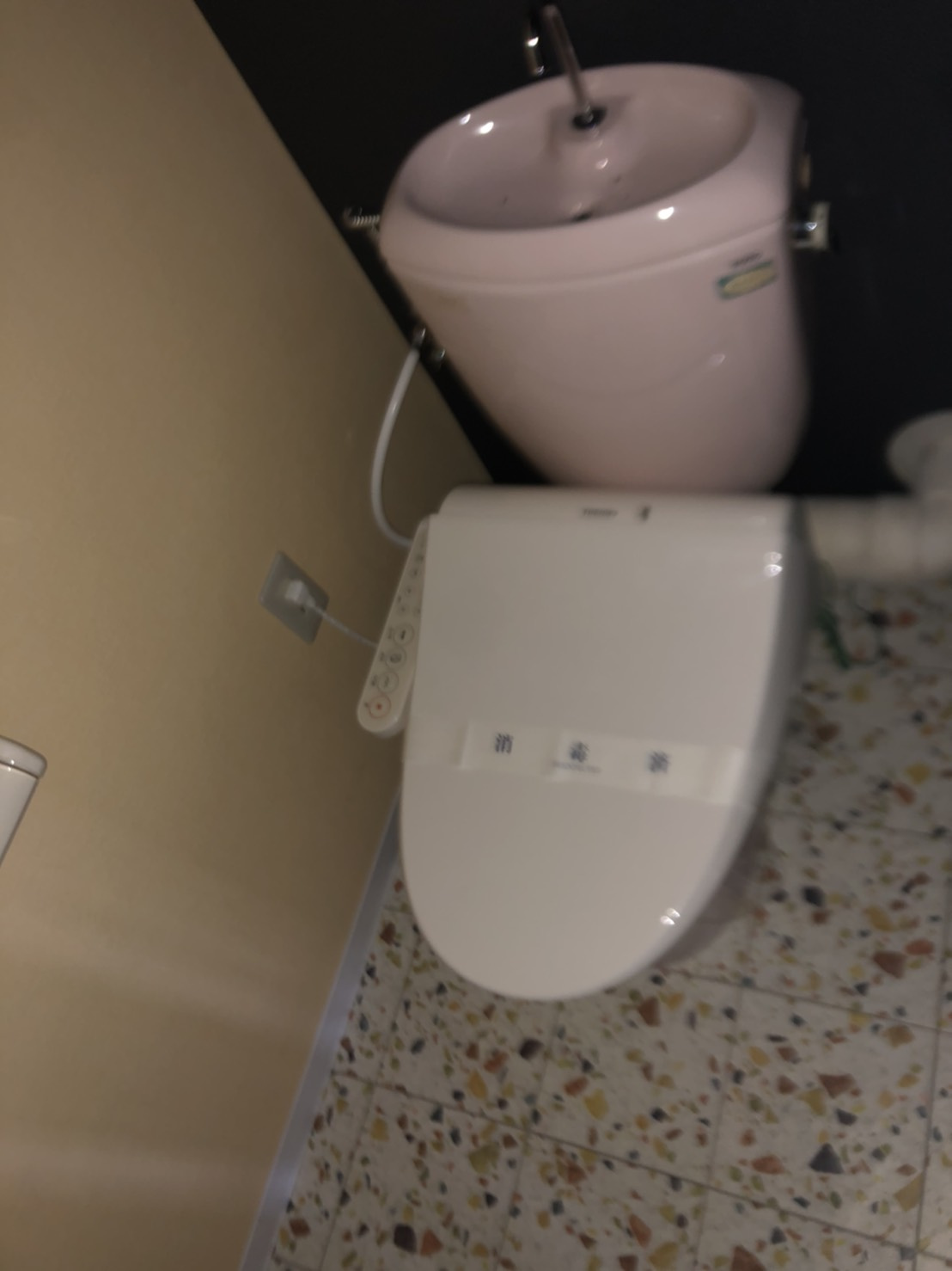 和泉市葛の葉町１丁目のアパートのトイレ|トイレです