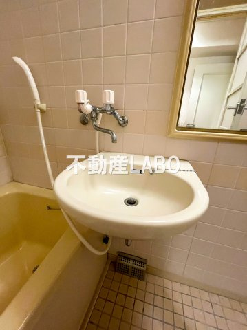朝日プラザヴェルデュール大正三軒家の洗面所