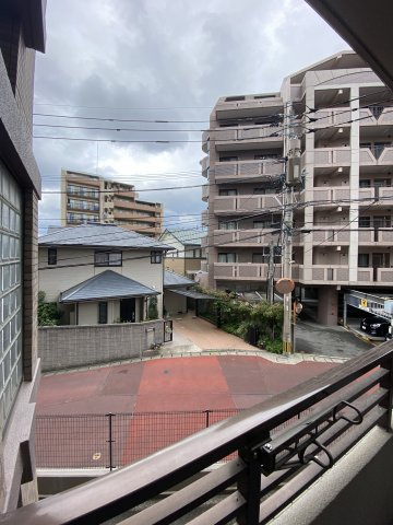 ヴィクトリア友泉の展望