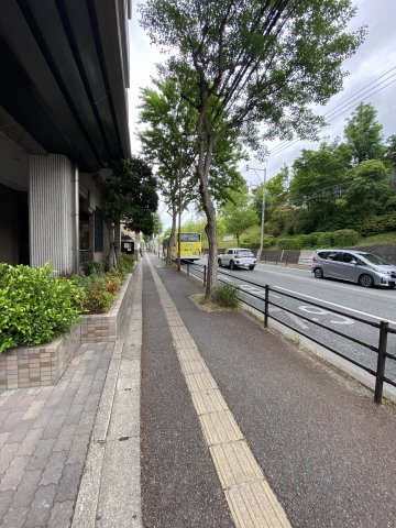 ヴィクトリア友泉の周辺