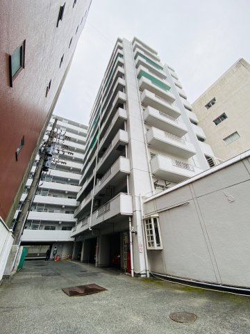 ニューライフ天神