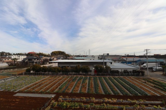 パストラルポートの展望