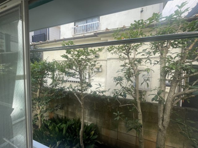 【展望】 | アメニティーズ