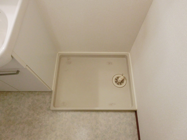 エスペランサリオ【キャッシュバック対象物件】の洗面所