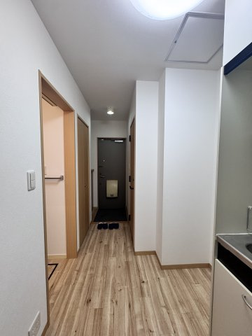 ベルリードミキのその他