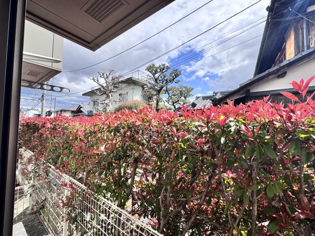 ベルリードミキの展望