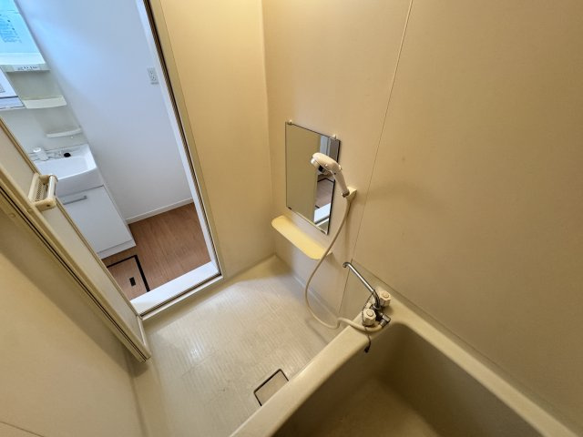 ベルリードミキのその他