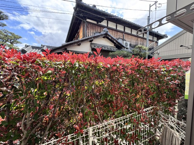 ベルリードミキの展望