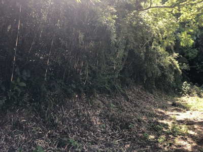 【周辺】 | 植木町鐙田　土地