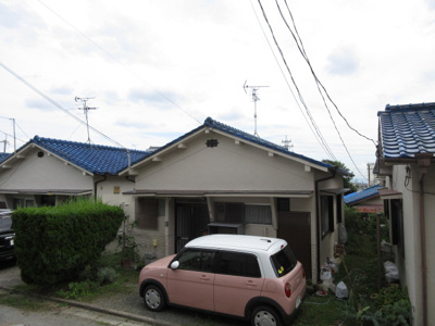 【展望】 | Citrine