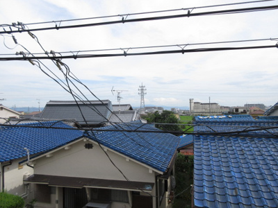 【展望】 | Citrine