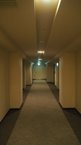 イニシアイオ本蓮沼駅前のその他共用部分|5階共用内廊下　ホテルライクな落ち着いた雰囲気です。