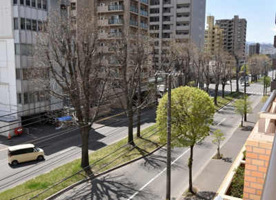 【展望】 | ダイアパレス北３条 | バルコニーから見える眺望です。