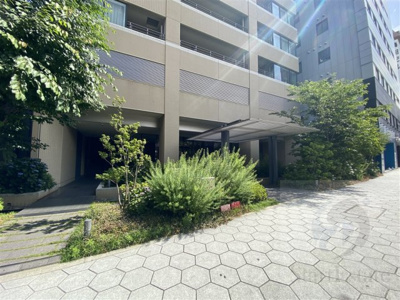 【エントランス】 | MASTタワー安堂寺 | 清潔なエントランスです