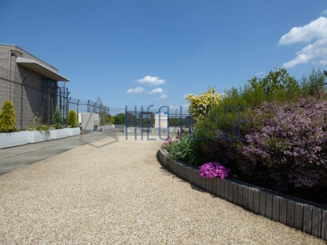 ルネスプレミールのその他