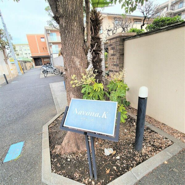 Ｎａｖｏｎａ．Ｋ　（ナヴォーナ・Ｋ）のその他