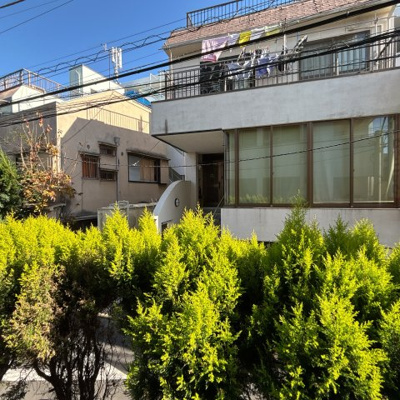 【展望】 | IL RISO