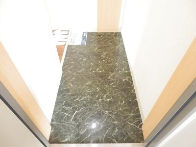 HF烏丸鞍馬口レジデンスの玄関|玄関