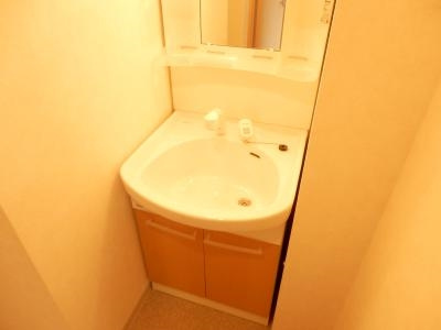 HF烏丸鞍馬口レジデンスの洗面所|シャンプードレッサー