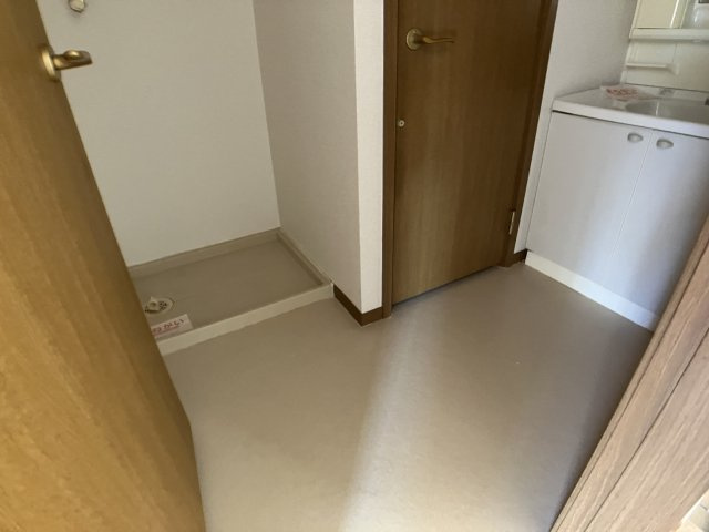 ソフィア壱番館Bの洗面所