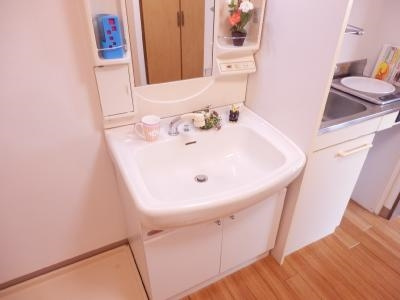 清和マンションの洗面所|シャンプードレッサー