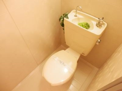 清和マンションのトイレ