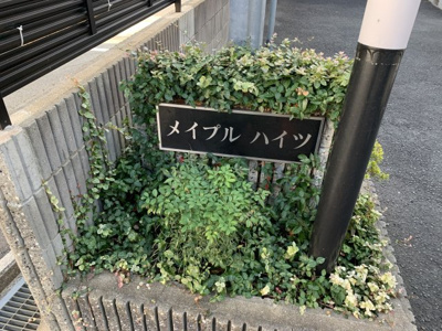 【その他】 | メイプルハイツ