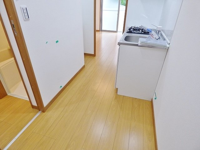 【その他】 | RAGDOLL