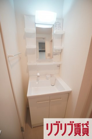 グレイス本千葉の洗面所
