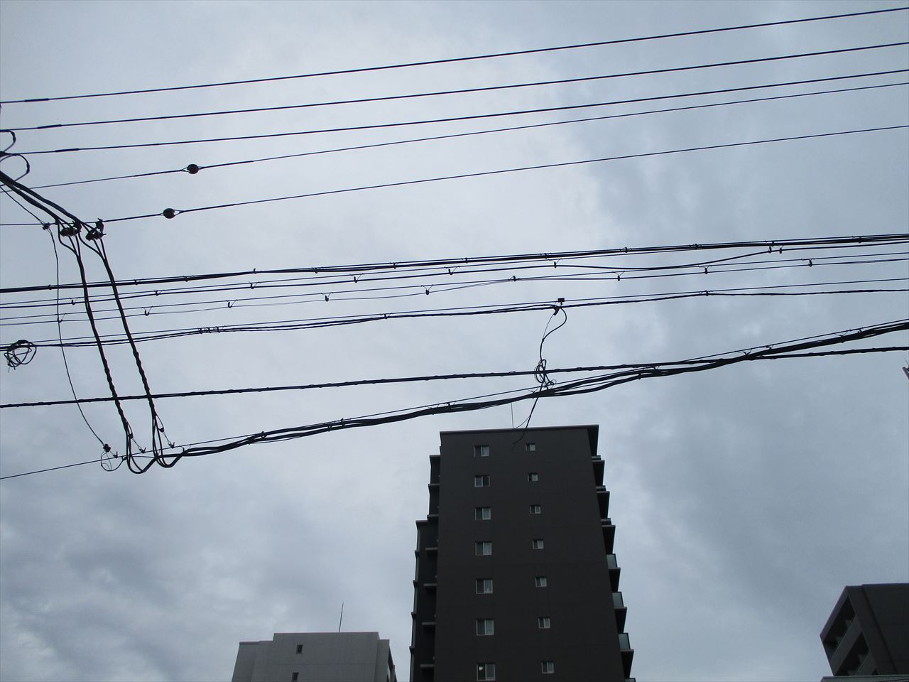 フェアリー❘名古屋市の賃貸ならMy賃貸の展望|フェアリー