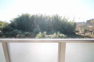 【展望】 | Felice Ⅲ