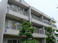 グリーンフォレストⅡの画像