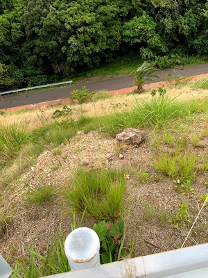 【外観】 | 知多郡南知多町　売地 | 現地写真
名鉄河和線「河和」駅よりバス乗車22分、「師崎中学校」停下車　徒歩約6分
建築条件ございませんので、お好きなハウスメーカーで建築できます！