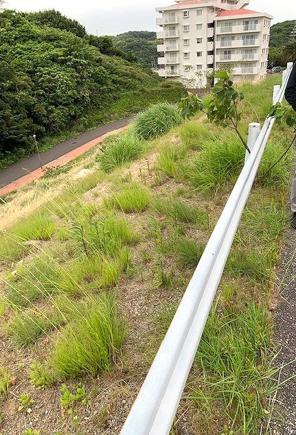 知多郡南知多町　売地の土地図|現地写真