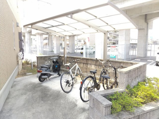 クリプトメリアのその他
