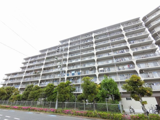 【外観】 | 総戸数２８１戸、昭和５４年１月築、管理人は住込勤務につき管理体制良好です♪
