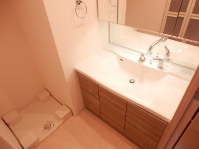 プレサンス京都四条烏丸響の洗面所